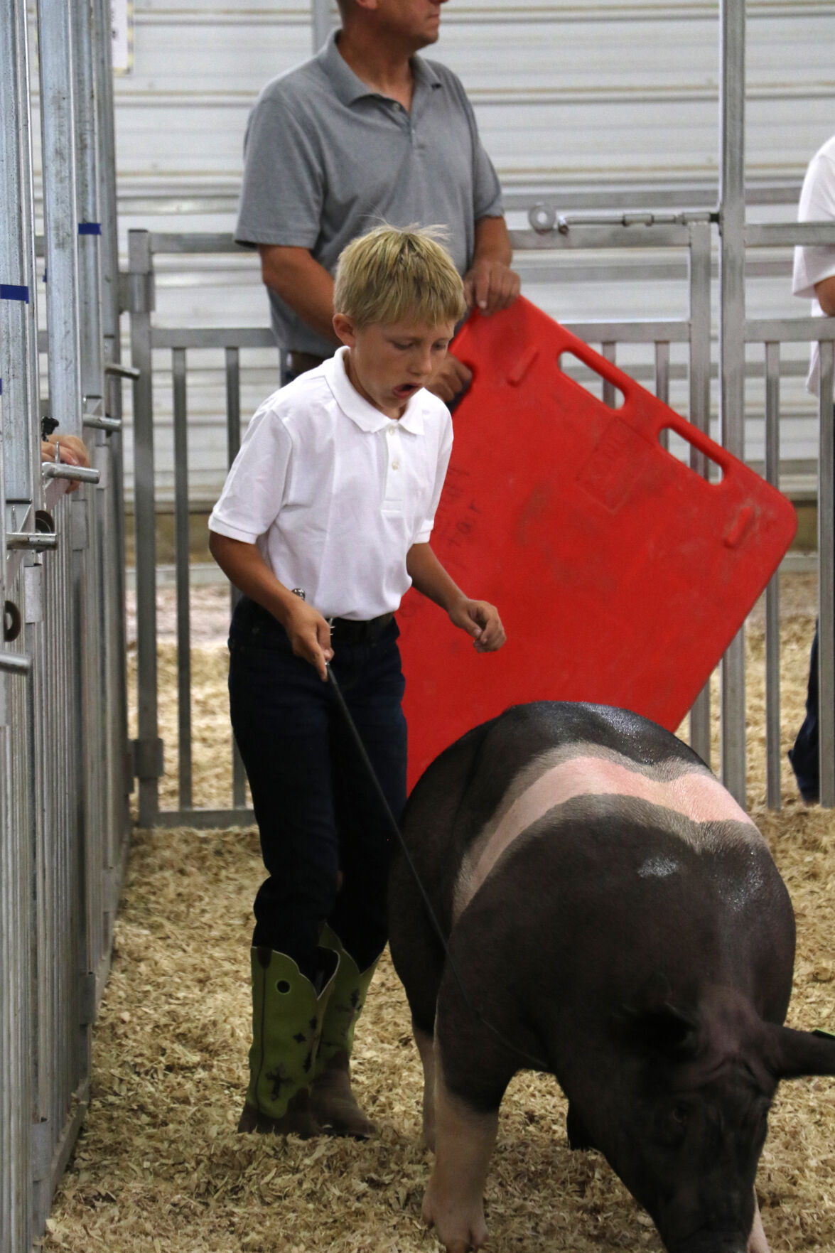 PHOTOS: Pig Showmanship